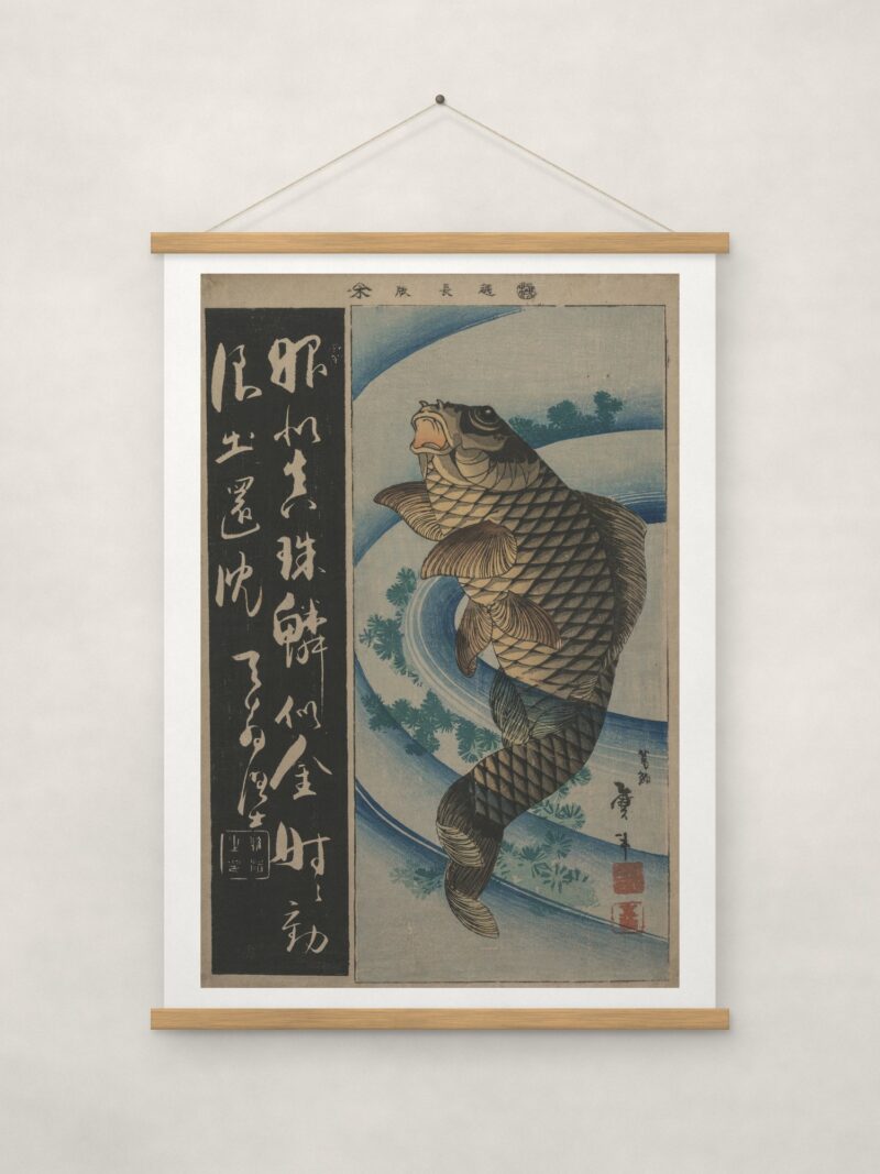 Carp and Waterweeds