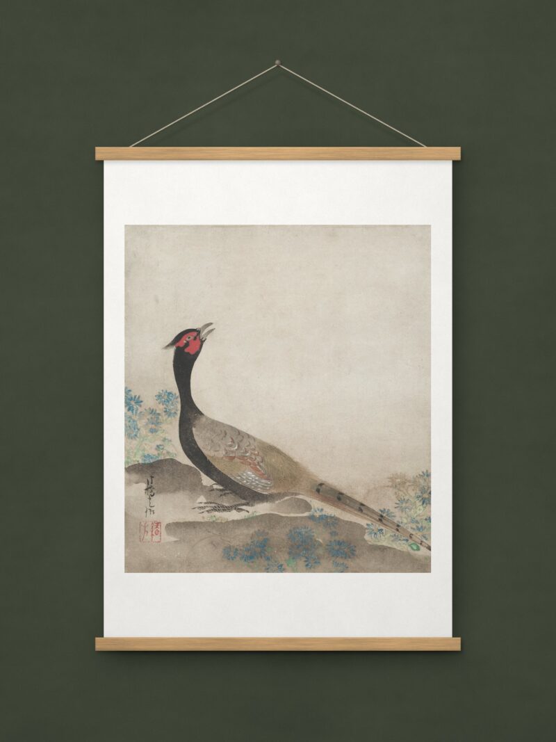 Pheasant