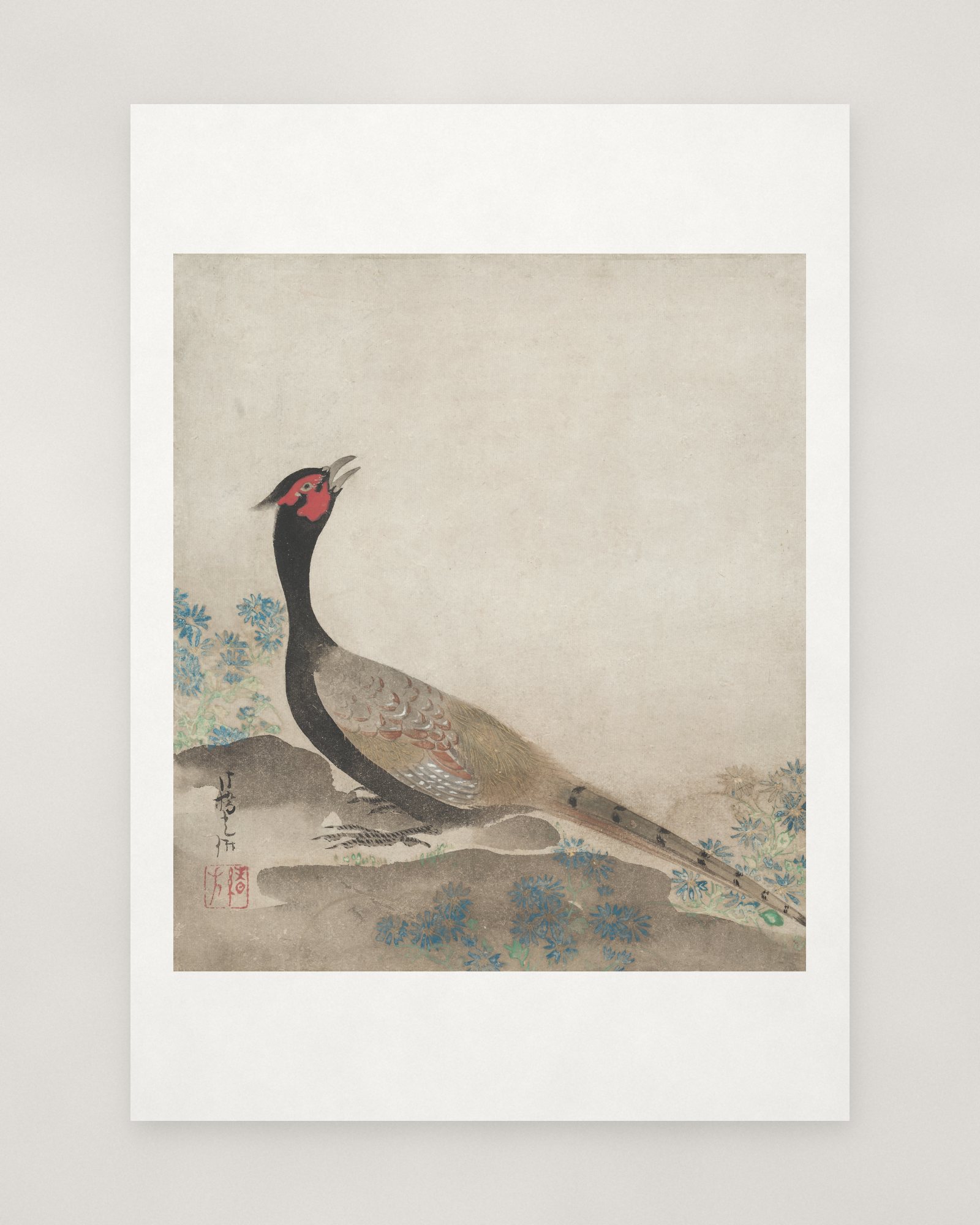 Pheasant — 2