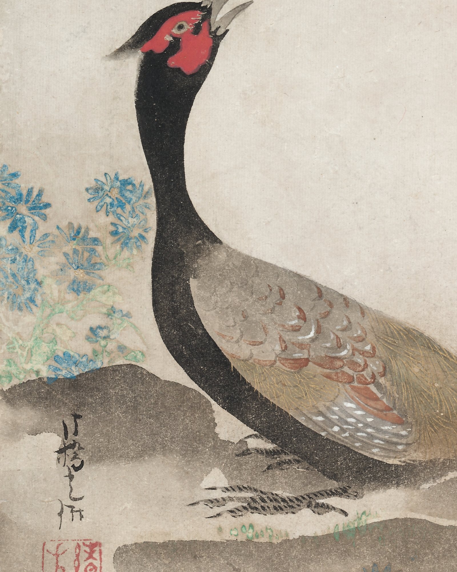 Pheasant — 3