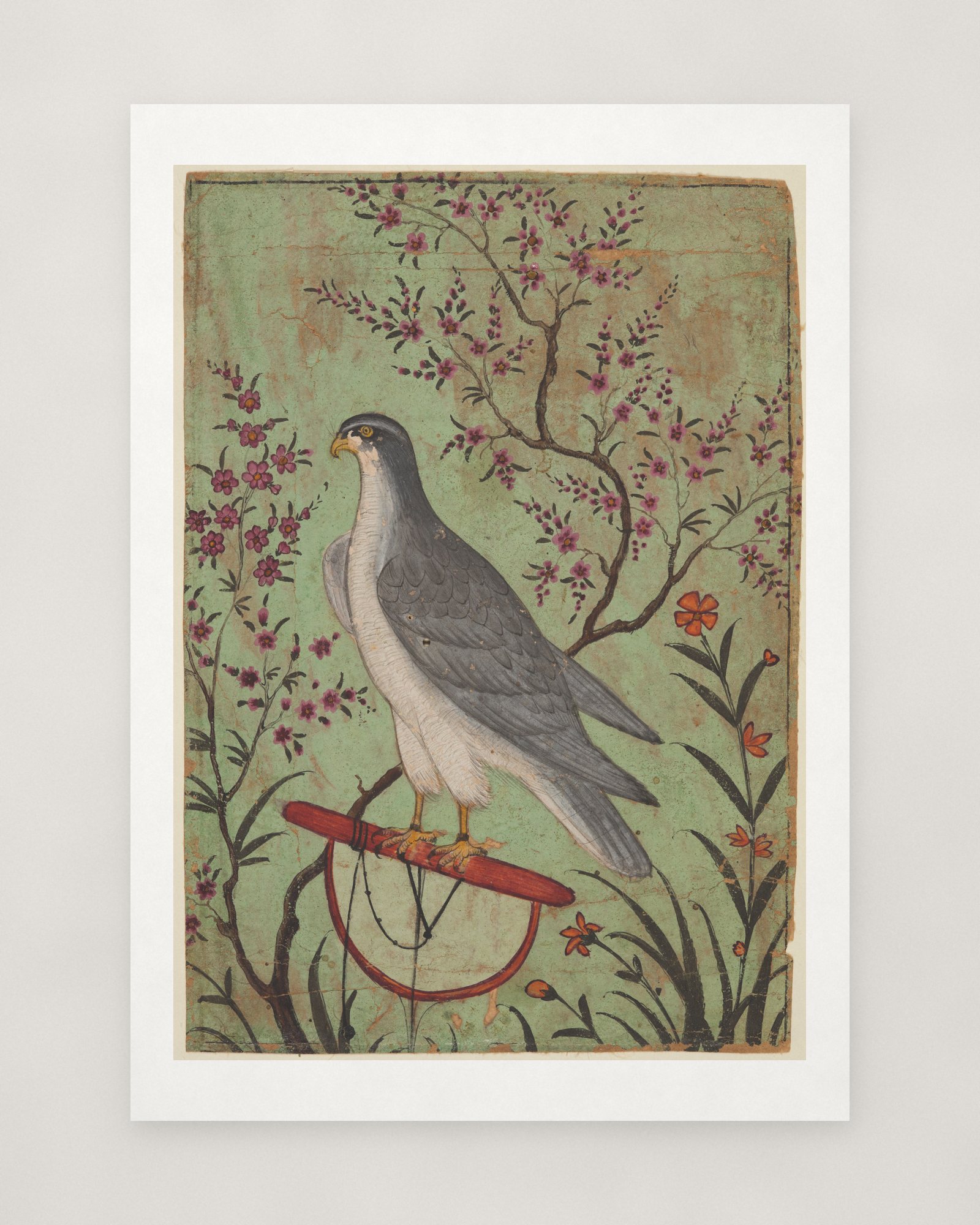 Falcon on a Perch — 2