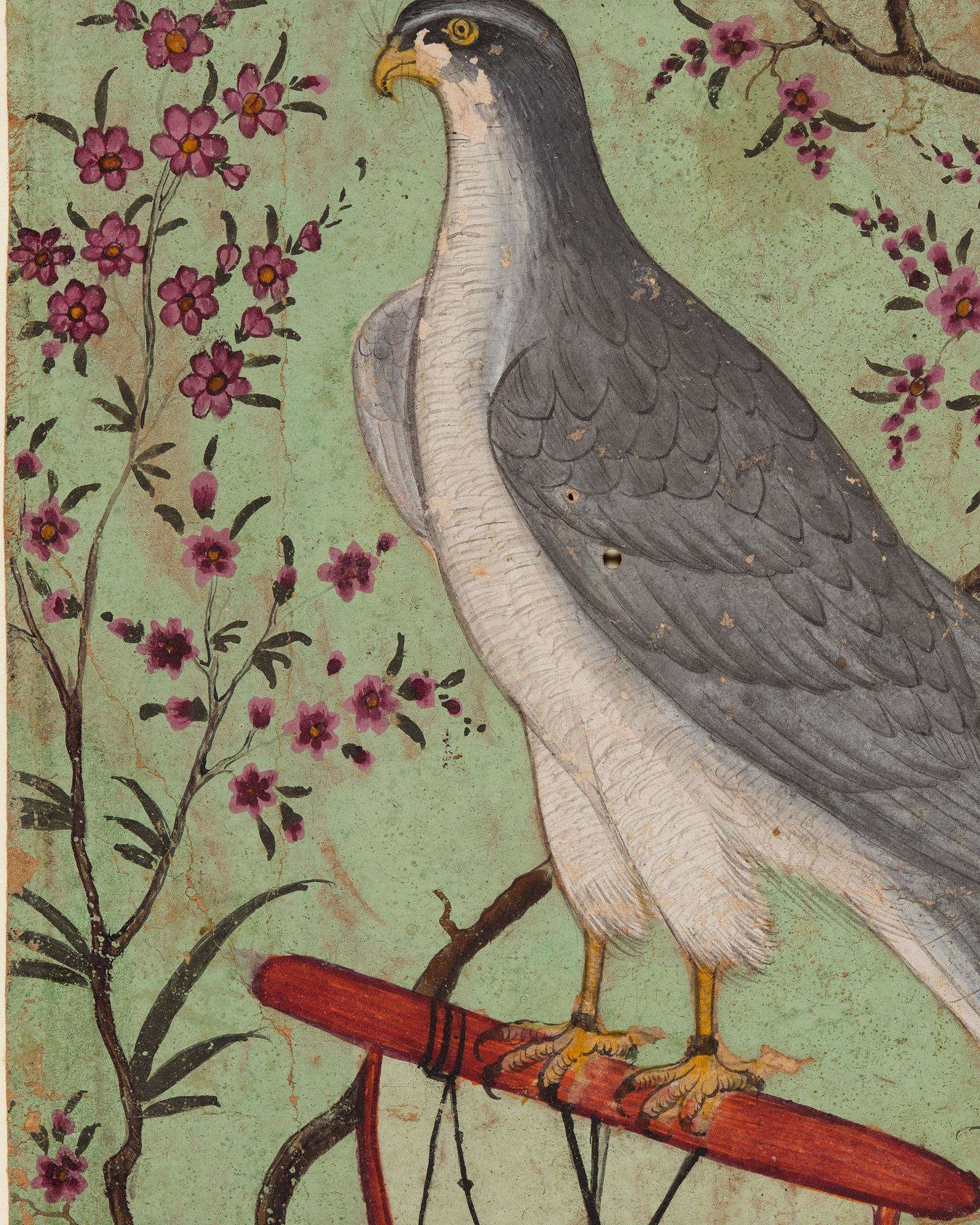 Falcon on a Perch — 3