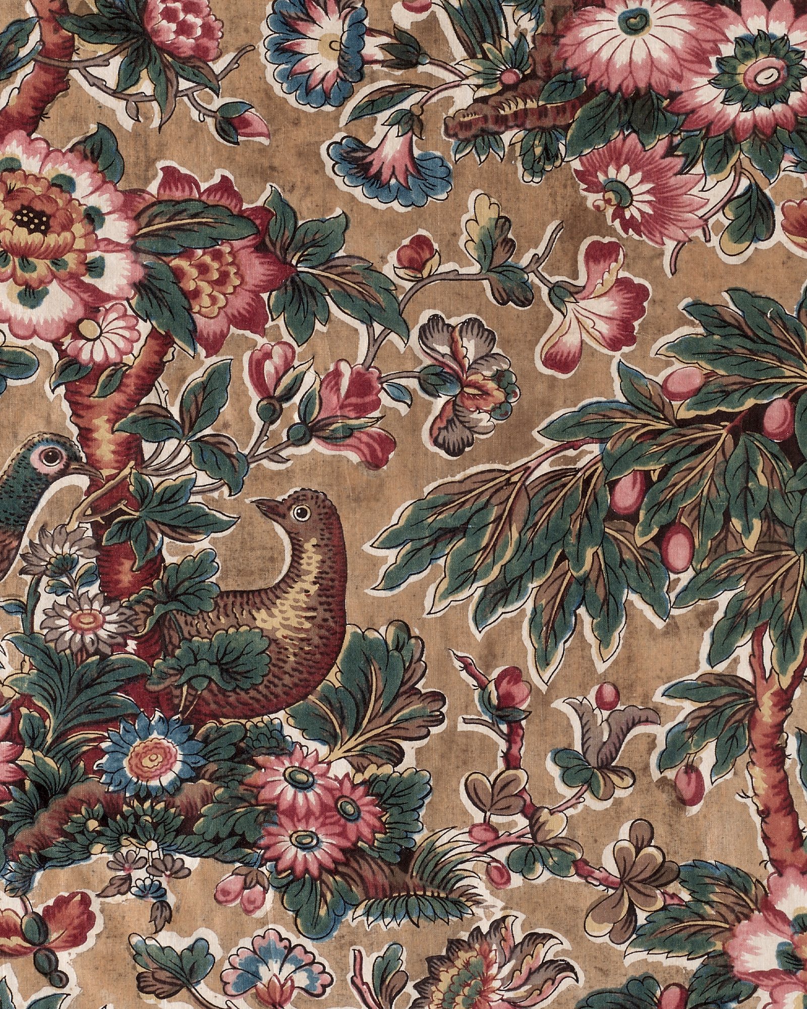 Glazed Chintz with Pheasant and Flower Design — 3