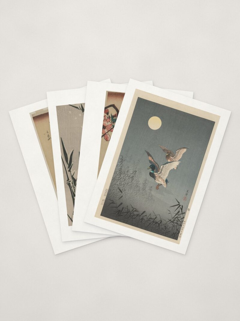 Japanese Bird Cards — four cards fanned