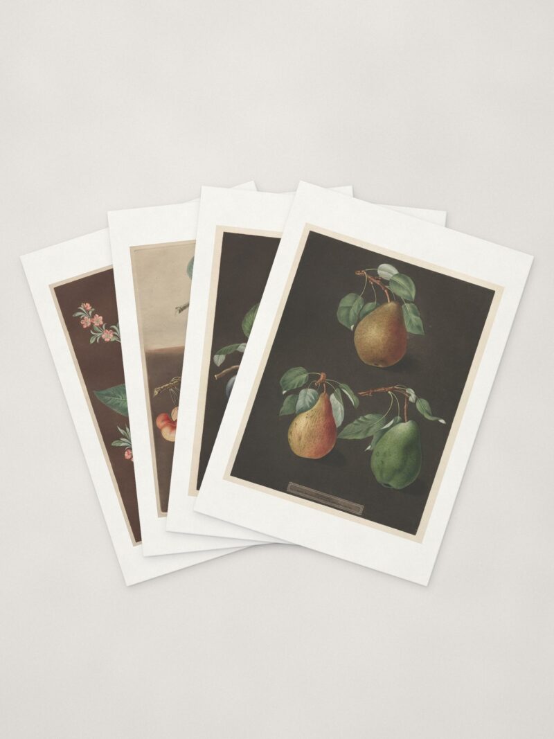 Fruit Cards — four cards fanned