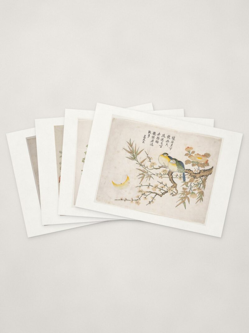 Bird & Blossom Cards — four cards fanned