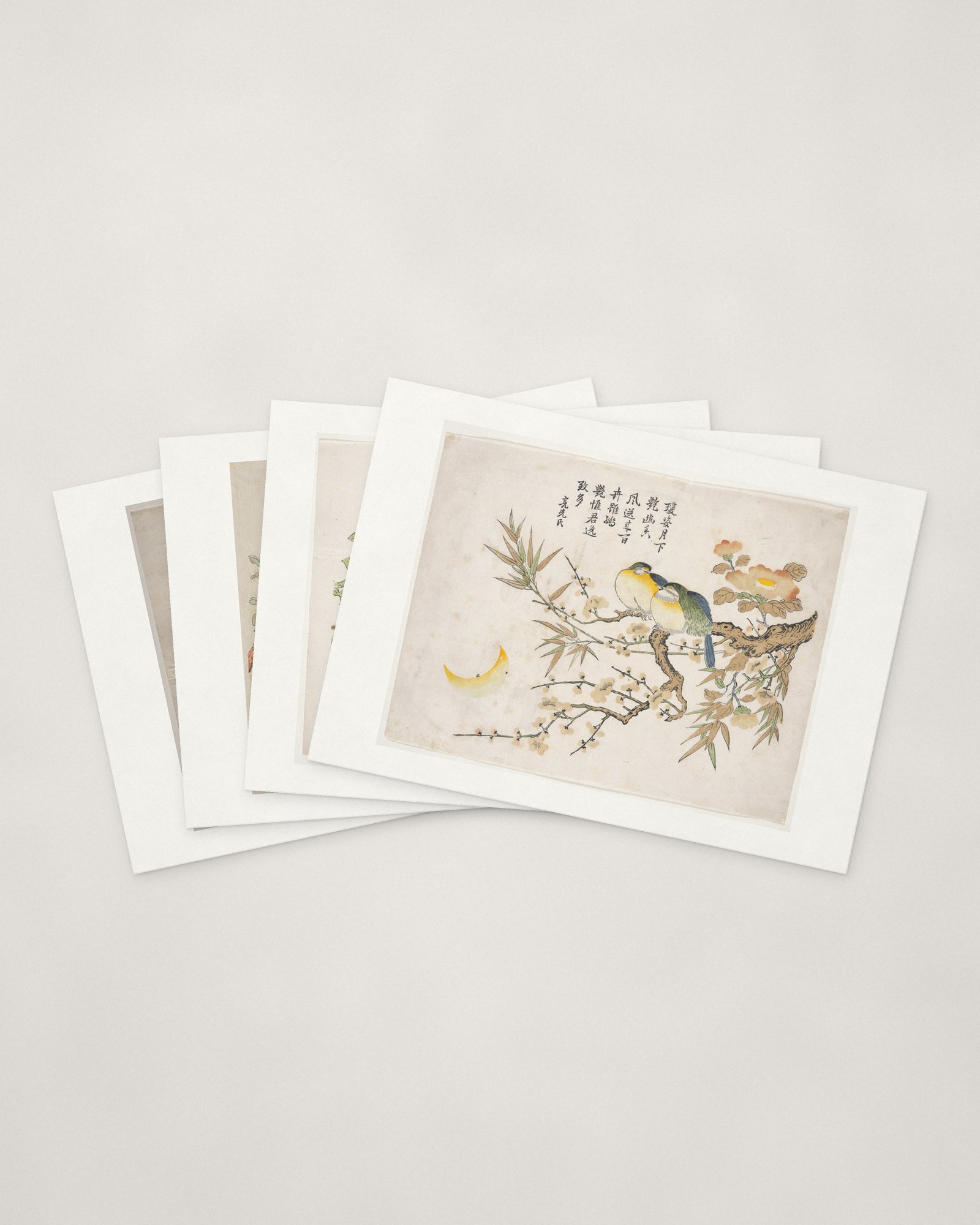 Bird & Blossom Cards — four cards fanned
