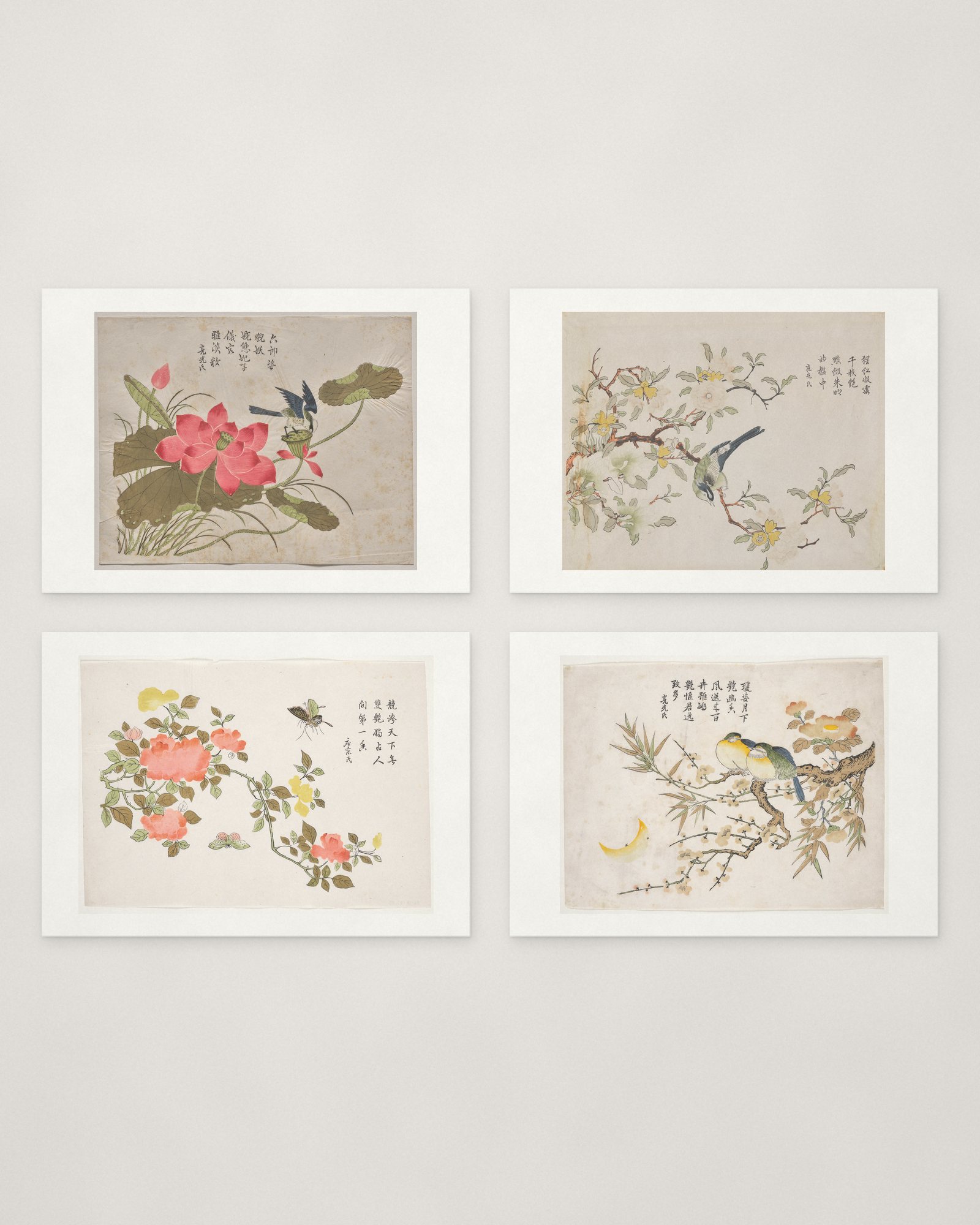 Bird & Blossom Cards — 2